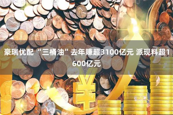 豪瑞优配 “三桶油”去年赚超3100亿元 派现料超1600亿元