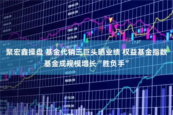 聚宏鑫操盘 基金代销三巨头晒业绩 权益基金指数基金成规模增长“胜负手”