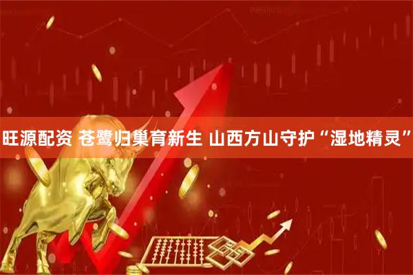 旺源配资 苍鹭归巢育新生 山西方山守护“湿地精灵”