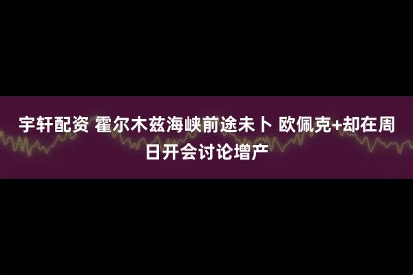 宇轩配资 霍尔木兹海峡前途未卜 欧佩克+却在周日开会讨论增产