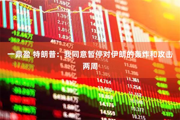 一鼎盈 特朗普：我同意暂停对伊朗的轰炸和攻击两周